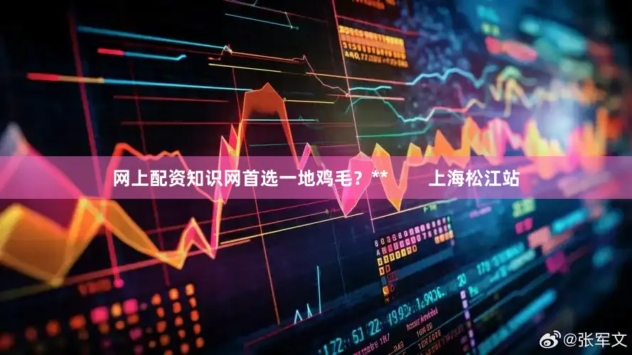 网上配资知识网首选一地鸡毛？**        上海松江站
