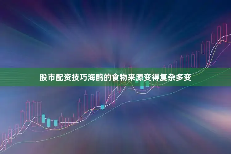 股市配资技巧海鸥的食物来源变得复杂多变