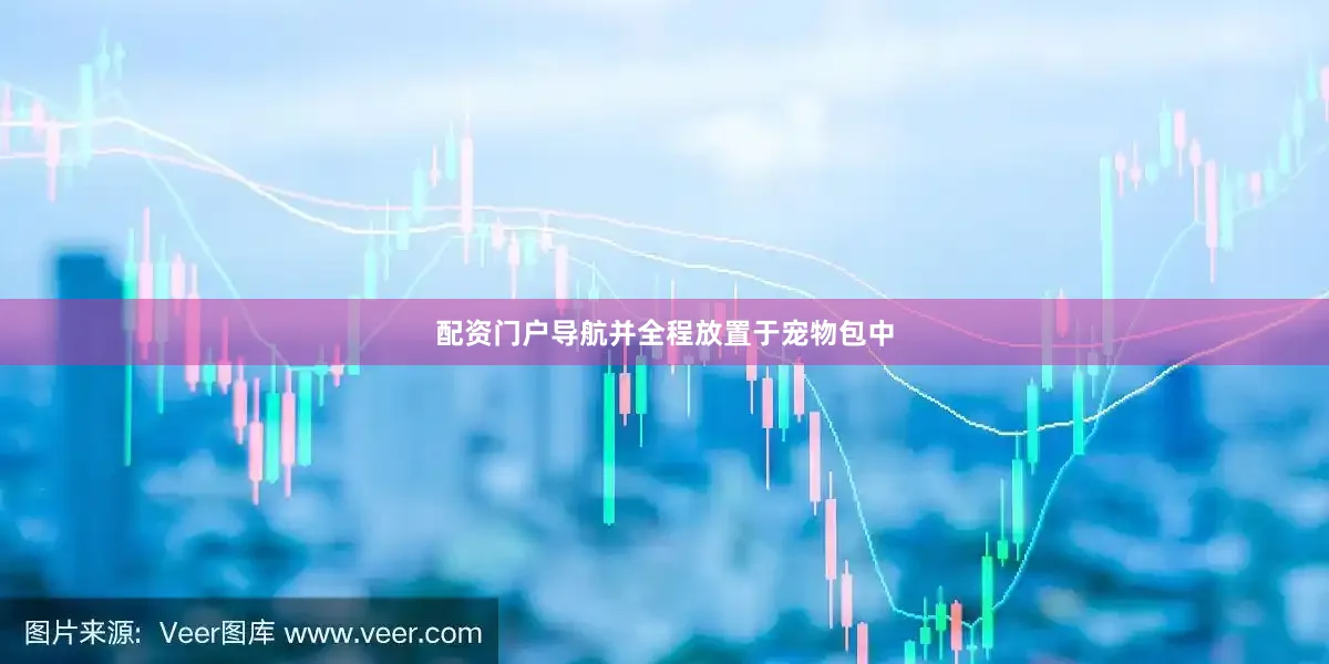 配资门户导航并全程放置于宠物包中