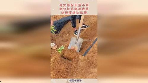 挖坑栽老公图片,揭秘挖坑栽老公的独特浪漫